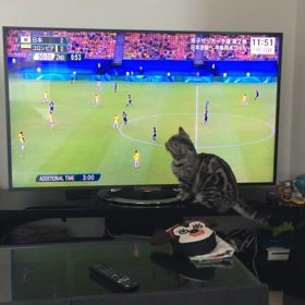 とらぢ@27の画像