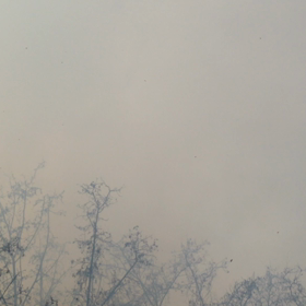 336日目 帰国日、出場大会決定の画像