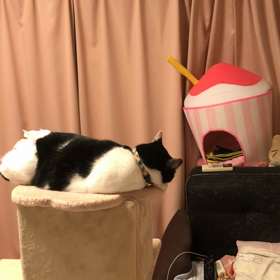 はいはい、また拗ね拗ねなのね（笑）の画像