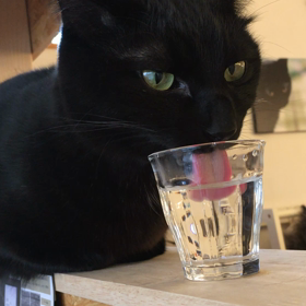 サービスショットの画像