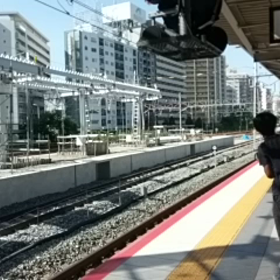 パンダくろしお　2017/08/26  ②の画像