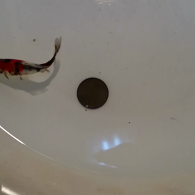 すみません、、(泣)の画像