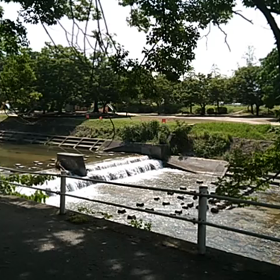 川の流れの画像