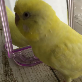 負けない心での画像