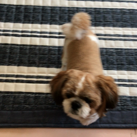 お散歩に行く〜？？の画像