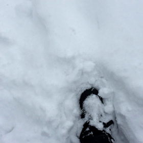 雪の中を歩くの画像