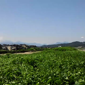 昨日は山の日の画像