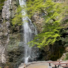 久しぶりの滝の画像