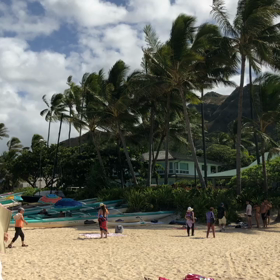 今日も、のんびり〜の画像