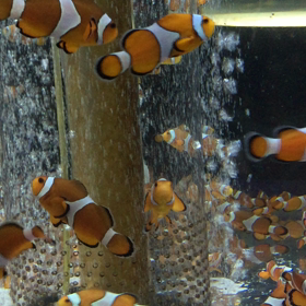 そろそろ普通の生活に戻りたいです！の画像