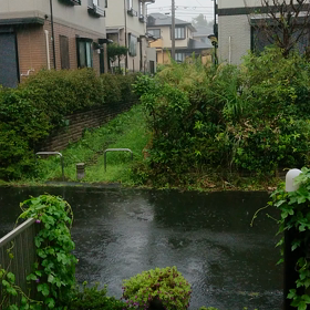 今日は  重陽の画像