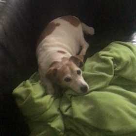 ほうれい線がの画像