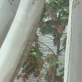 ♡我が家の5月♡の画像