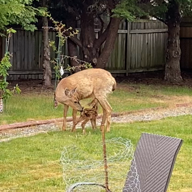”驚きの光景(°°)”の画像