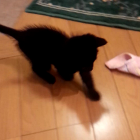 姉のサポートの画像