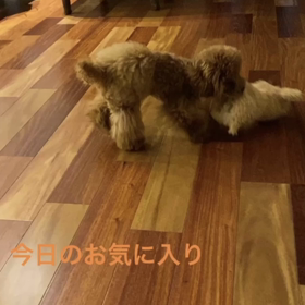 宇野樹君インスタストーリーより　今日のお気に入りの画像