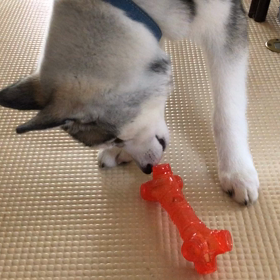 年末大忙しの  対策♡の画像