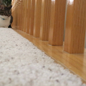 時々猫の相手もしないと。の画像