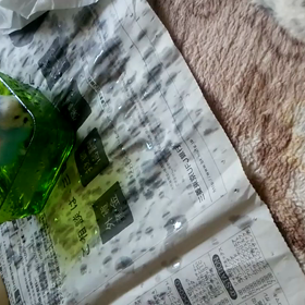 へたっぴの画像