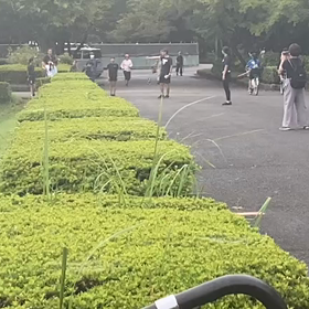 リレー選考会　中間地点⑤の画像