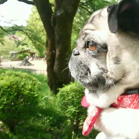 伊香保グリーン牧場☆の画像