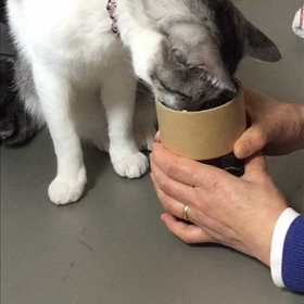 ガムテープの向こう側の画像