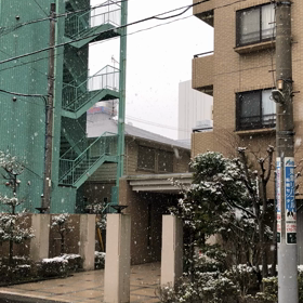 雪/動画の画像