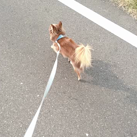 一人でも元気です。の画像