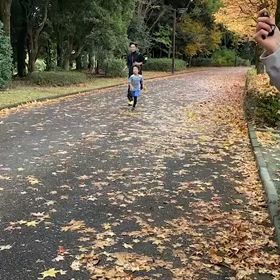11月5日  1000m⑥の画像