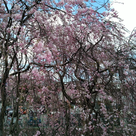 お願い？クレーム？の画像