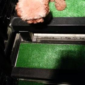 大歓迎(*≧∀≦*)の画像