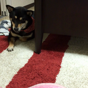 寝起き。の画像