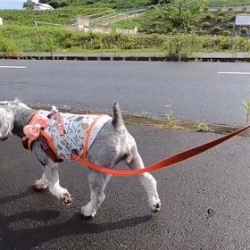 雨上がりの画像