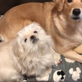 今朝の我が家の画像