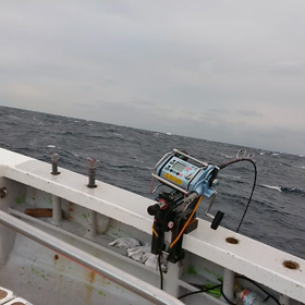 イルカはイルカい？の画像