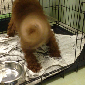 はじめまして、の時の画像