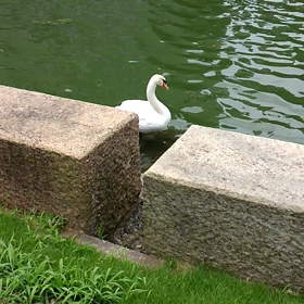 東京にて。の画像