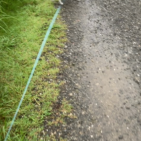 あささんぽの画像