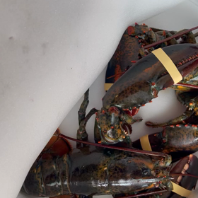 アメリカのパパと義弟から届いた。。の画像