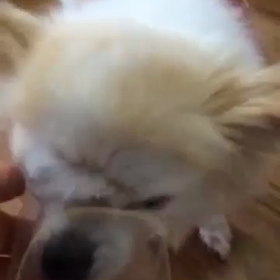 食いしん坊 その2の画像