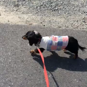 ちょいと心配でした。の画像