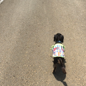 良くなったり良くならなかったりの画像