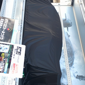 ワイルドスピード！の画像