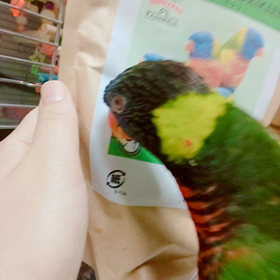 ごはーん(๏‚θ‚๏)の画像