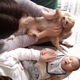 赤ちゃんといっしょの画像