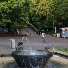 噴水と階段の画像