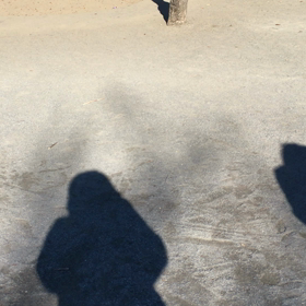 新月散歩MOVの画像