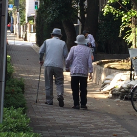 散歩。の画像