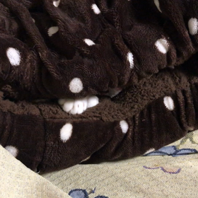 ダーレだ╰(*´︶`*)╯♡の画像