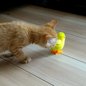 お疲れモードの画像